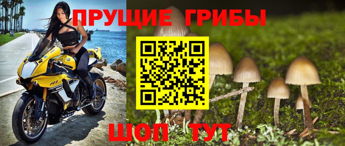 Псилоцибиновые грибы прущие грибы Грозный