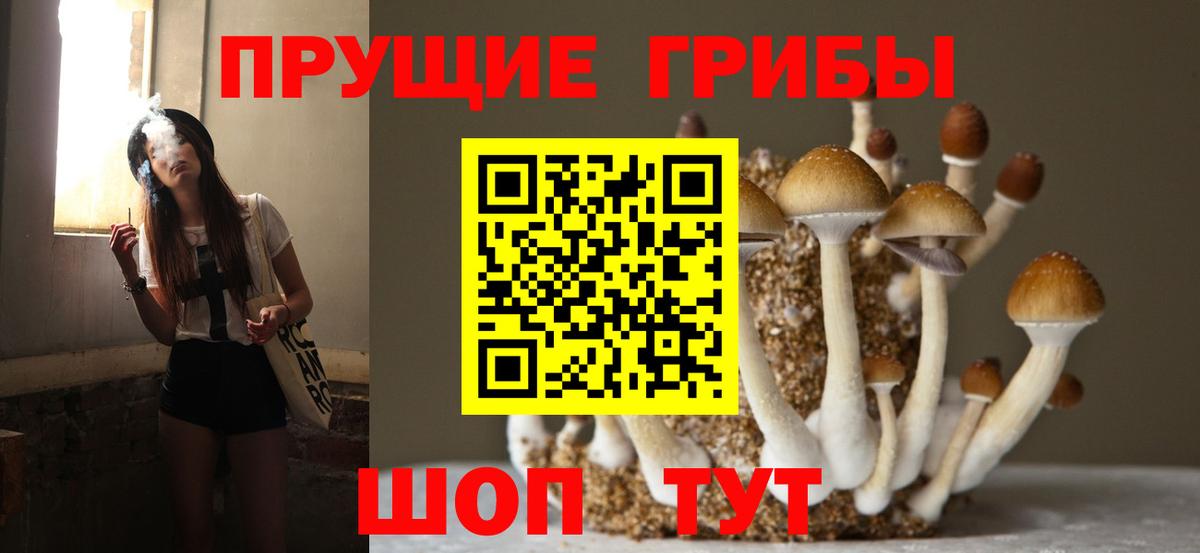 купить закладку  Псилоцибиновые грибы Cubensis  Галлюциногенные грибы Cubensis  Вход с VPN  Грозный 